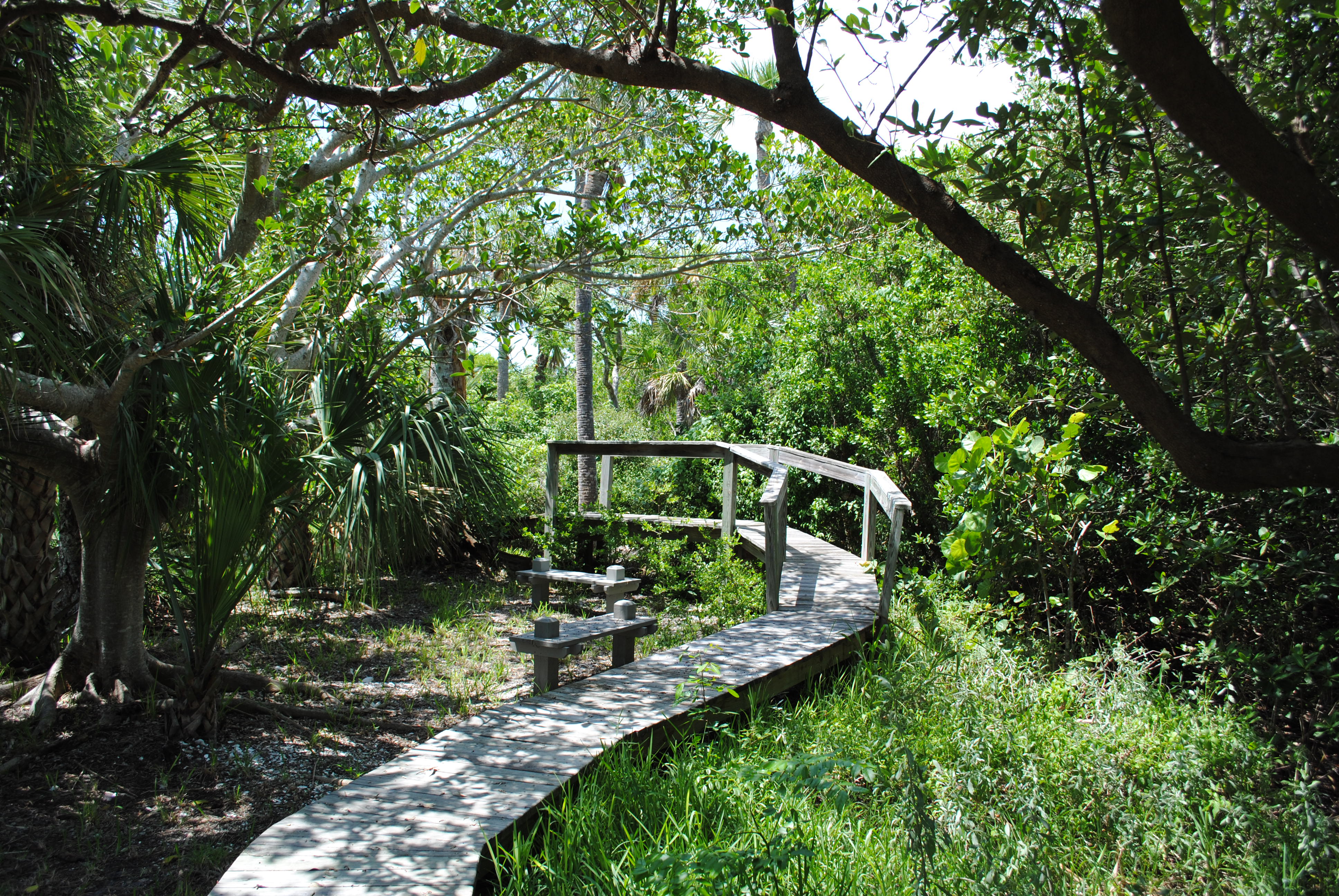 Upper captiva island